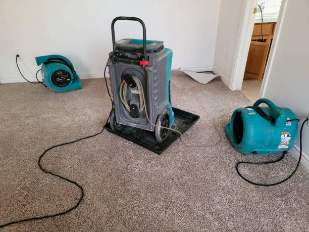 Best Carpet water damage restoration  in Winnsboro, LA
