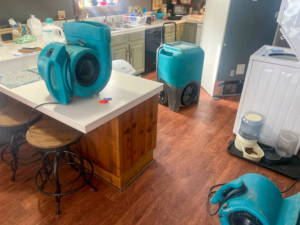 Best Professional water damage repair  in Winnsboro, LA