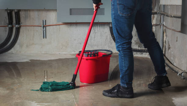 Best Flooded house restoration  in Winnsboro, LA