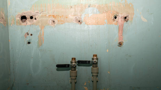 Best Water damage contractors near me  in Winnsboro, LA